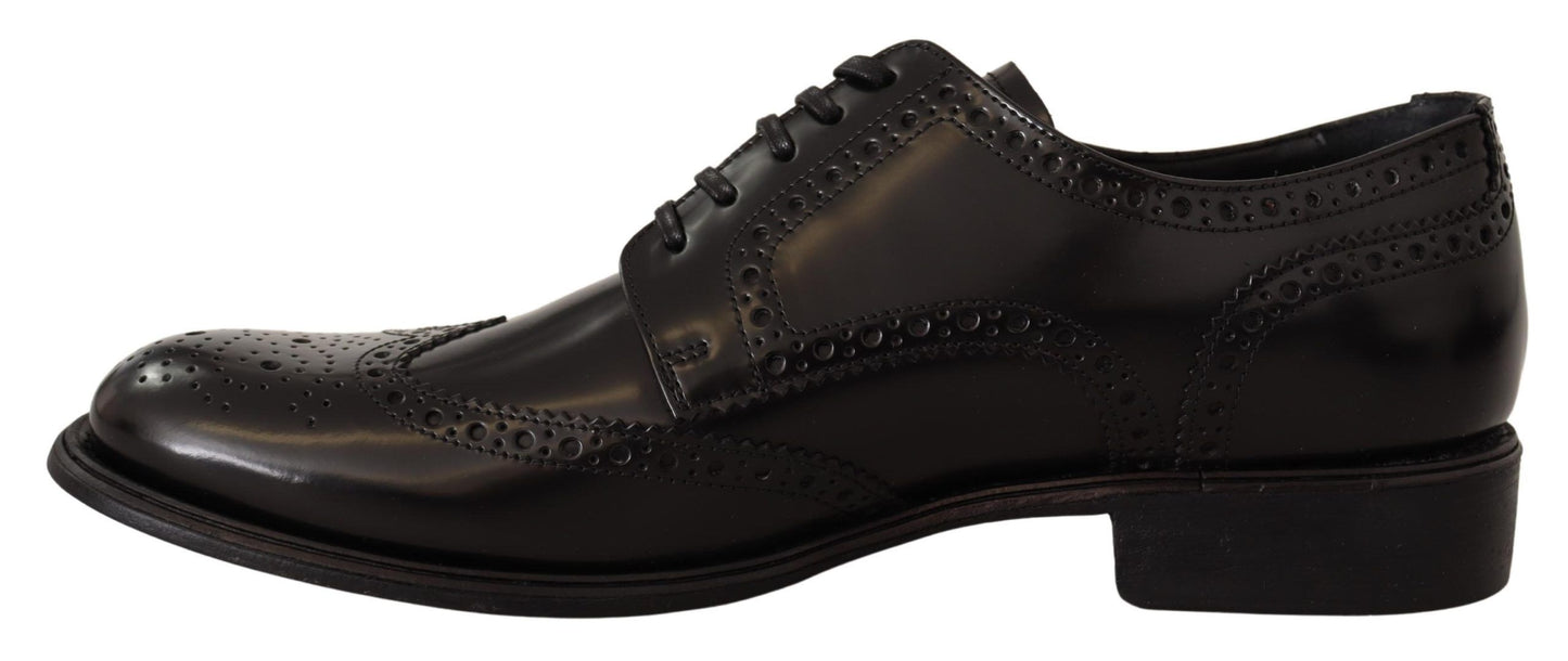Елегантні оксфордські черевики Dolce &amp; Gabbana Wingtip Derby