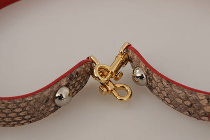Коричневий ремінь для сумки Dolce &amp; Gabbana Chic із шкіри пітона