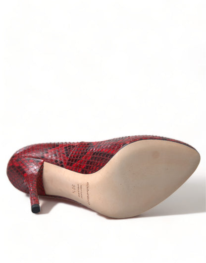 Човники Dolce &amp; Gabbana Red Almond Toe зі зміїної шкіри та мереживні шкарпетки