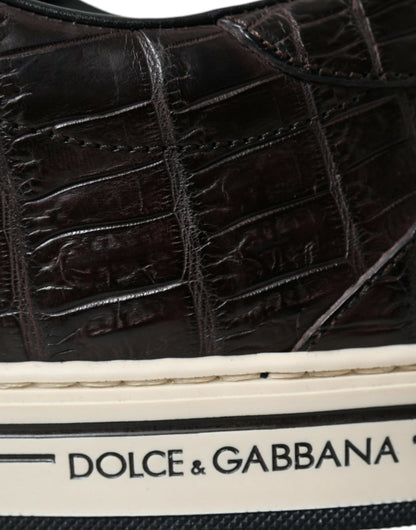 Елегантні низькі кросівки з екзотичної шкіри Dolce &amp; Gabbana