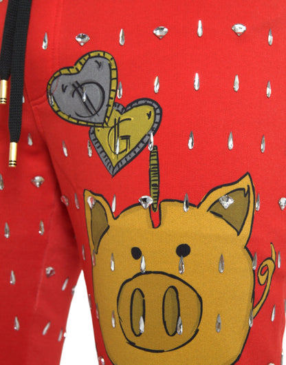 Спортивні брюки Dolce &amp; Gabbana Red Year of the Pig