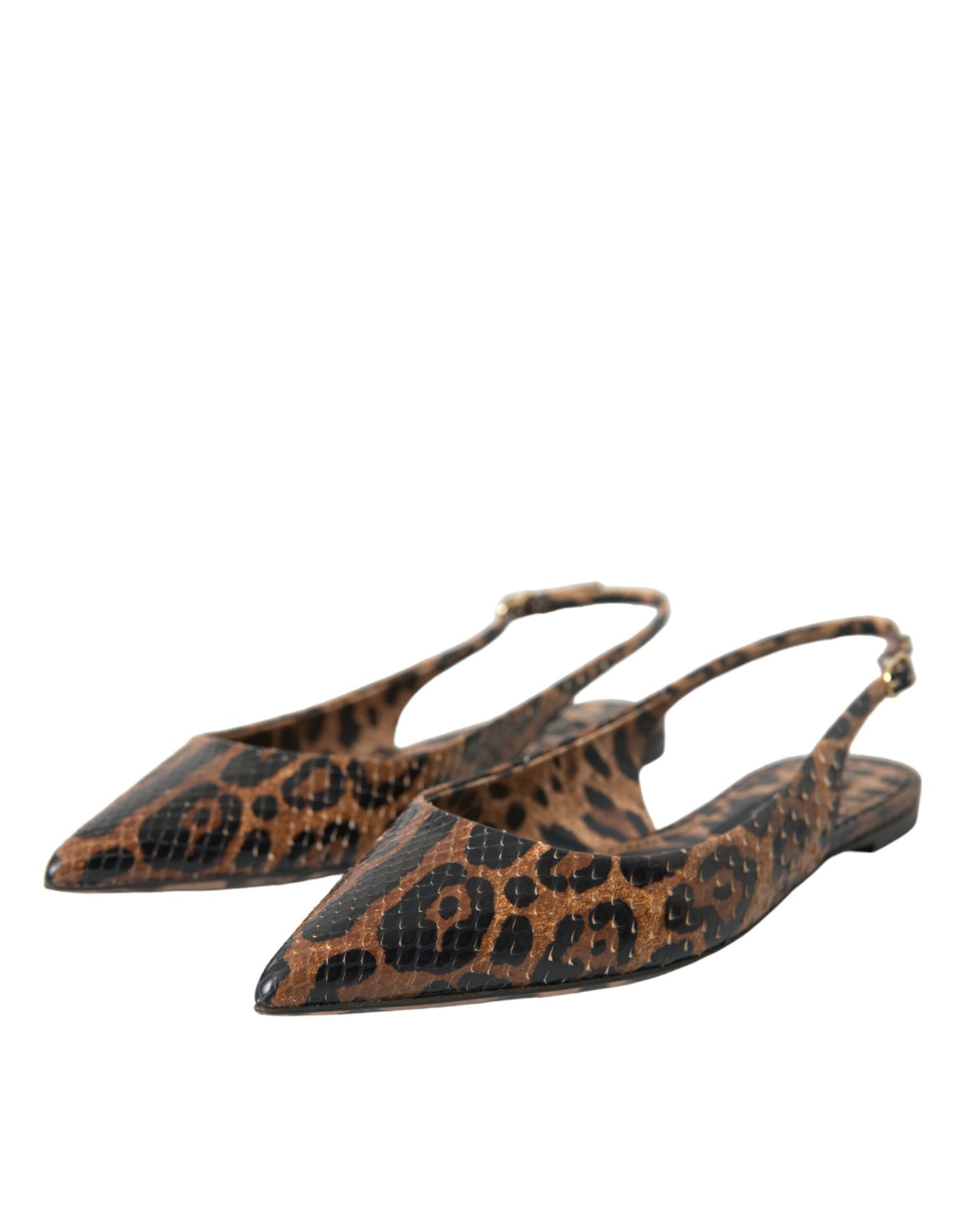 Коричневі туфлі Dolce &amp; Gabbana з екзотичною шкірою з леопардом