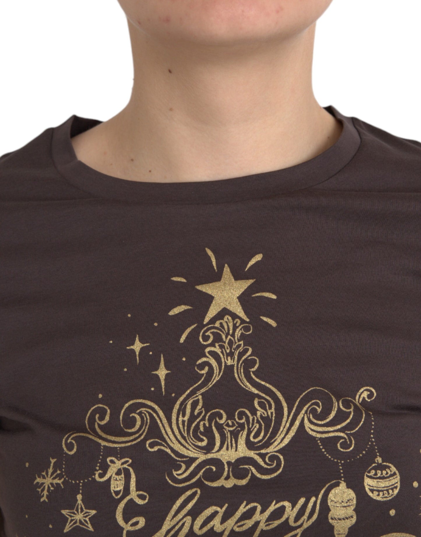 Коричнева футболка Dolce &amp; Gabbana Crewneck 2017 Motive Print