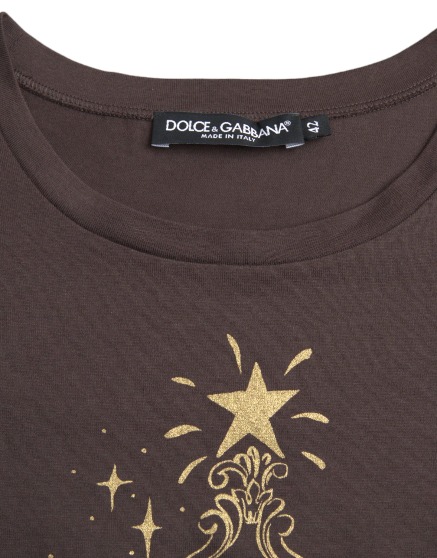 Коричнева футболка Dolce &amp; Gabbana Crewneck 2017 Motive Print
