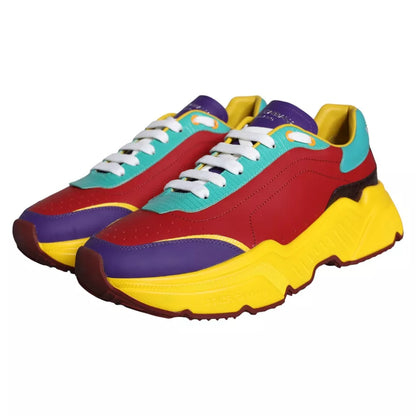 Низькі кросівки Dolce &amp; Gabbana Multicolor Daymaster