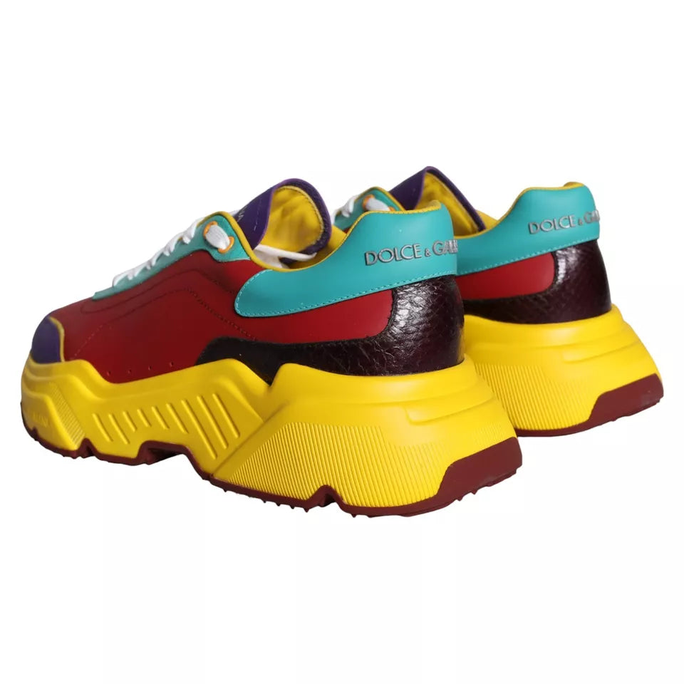 Низькі кросівки Dolce &amp; Gabbana Multicolor Daymaster