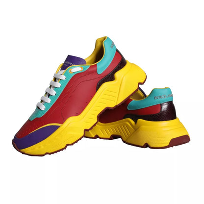 Низькі кросівки Dolce &amp; Gabbana Multicolor Daymaster