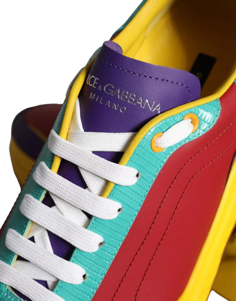 Низькі кросівки Dolce &amp; Gabbana Multicolor Daymaster