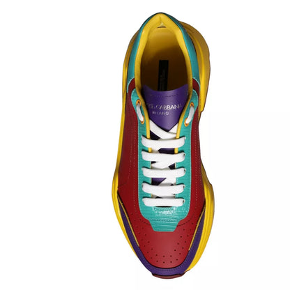Низькі кросівки Dolce &amp; Gabbana Multicolor Daymaster