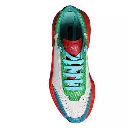 Низькі кросівки Dolce &amp; Gabbana Multicolor Daymaster