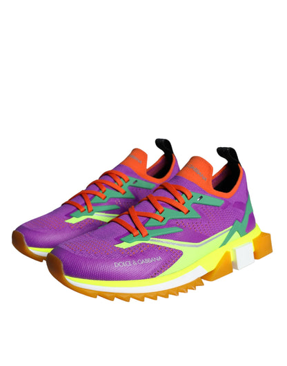 Dolce &amp; Gabbana Multicolor Super King низькі кросівки