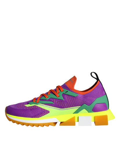 Dolce &amp; Gabbana Multicolor Super King низькі кросівки