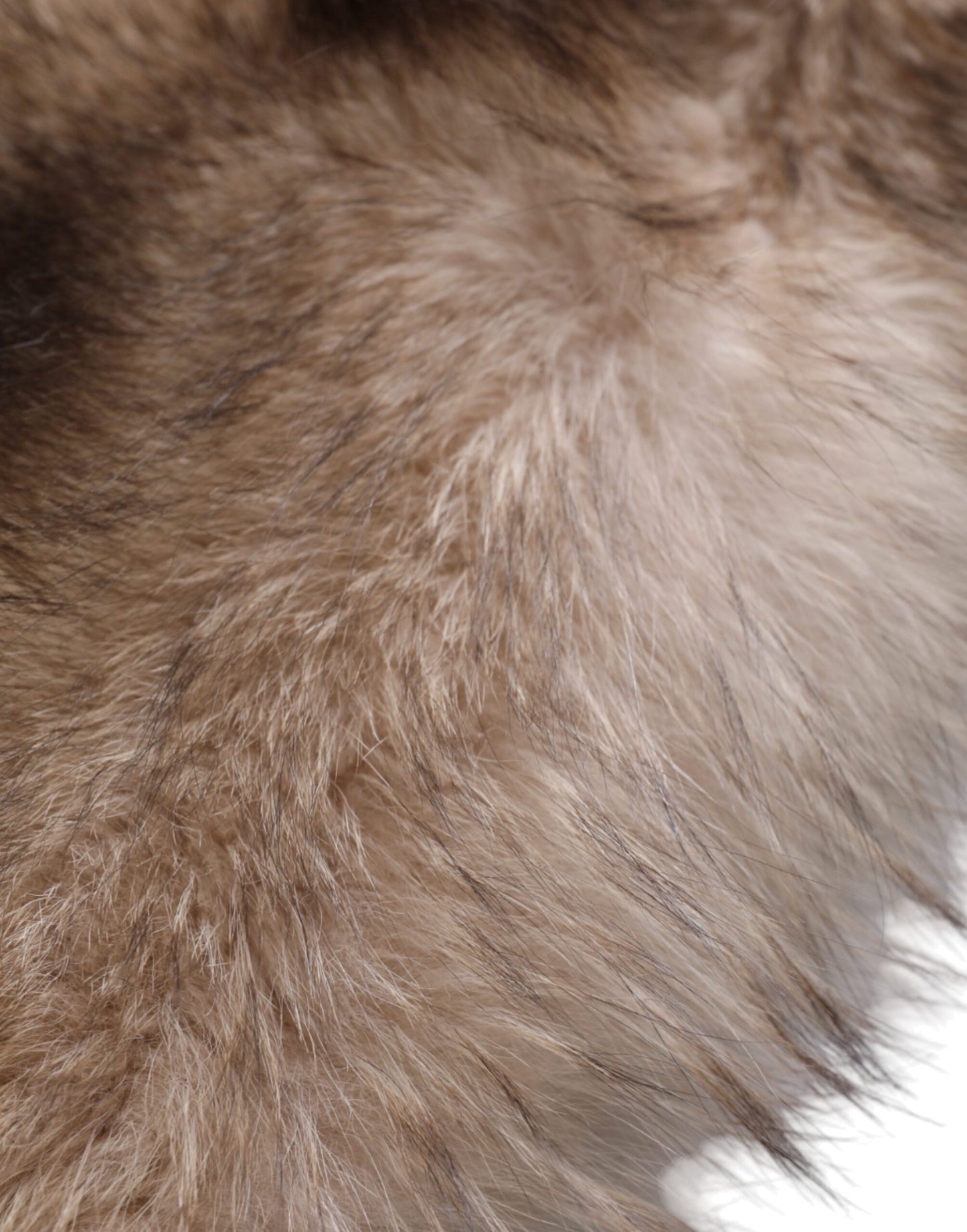 Теплий зимовий шарф Dolce &amp; Gabbana Frost Fox Hutr