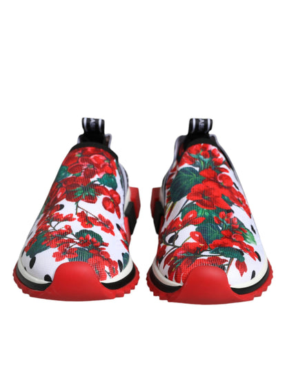Кросівки Dolce &amp; Gabbana Multicolor Geranium Sorrento