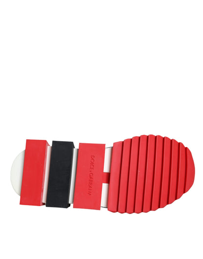Кросівки Dolce &amp; Gabbana Multicolor Geranium Sorrento