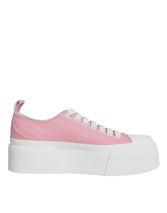 Низькі кросівки Dolce &amp; Gabbana Pink White Canvas Logo