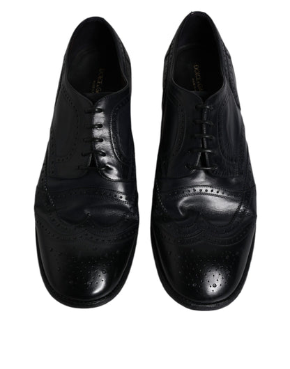 Сині шкіряні туфлі дербі Wingtip від Dolce &amp; Gabbana