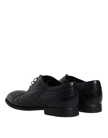Сині шкіряні туфлі дербі Wingtip від Dolce &amp; Gabbana