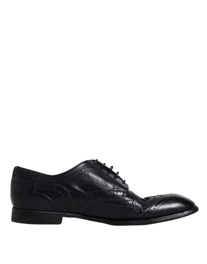 Сині шкіряні туфлі дербі Wingtip від Dolce &amp; Gabbana
