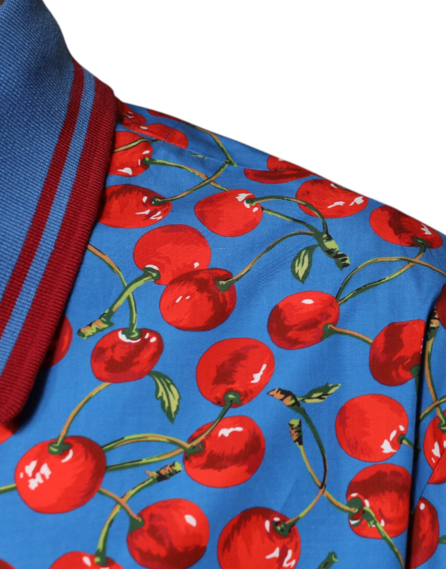 Чоловіча футболка поло Dolce &amp; Gabbana Blue Cherry з бавовняним коміром