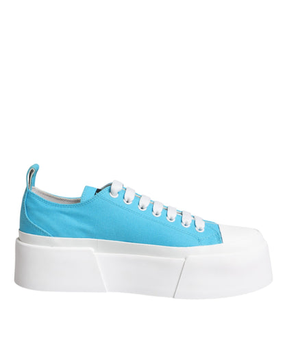 Низькі кросівки Dolce &amp; Gabbana Blue White Canvas Logo